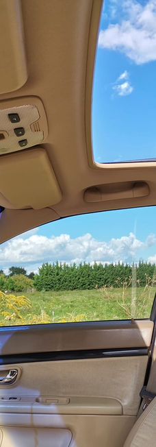 Lavado interior de autos Lávame